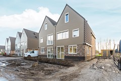 04-Moerasorchidee 29 - Lelystad.JPG